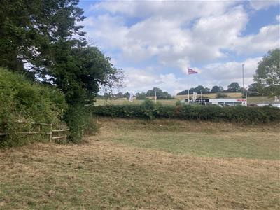 Picture 5